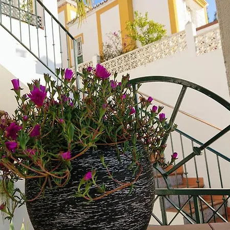 Pensión Carmen -- Boutique By The Sea 3*