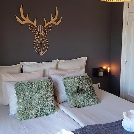 Guest house Carmen -- Boutique By The Sea